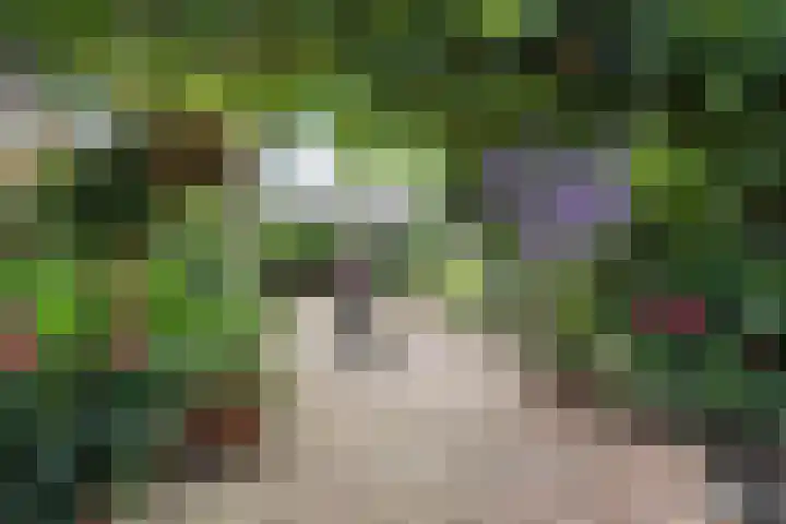Falklandstroom 1 Huizen thumbnail 21
