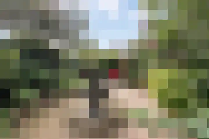 Falklandstroom 1 Huizen thumbnail 22