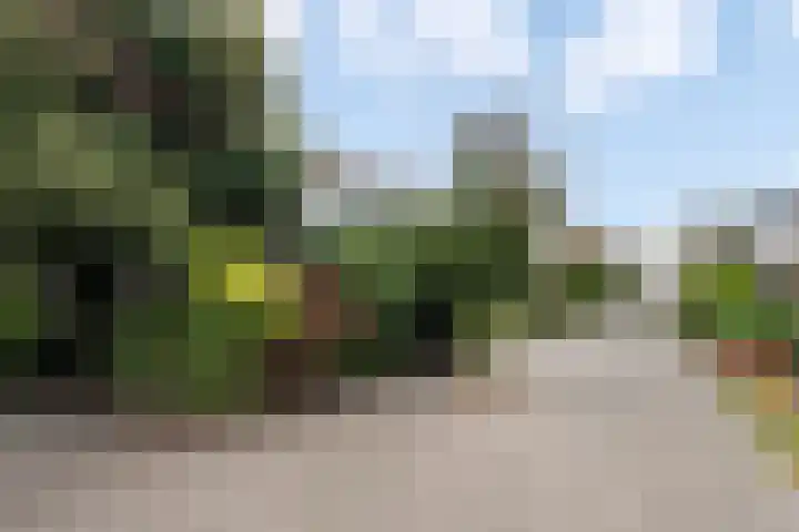 Falklandstroom 1 Huizen thumbnail 23