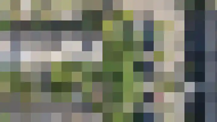 Falklandstroom 1 Huizen thumbnail 26