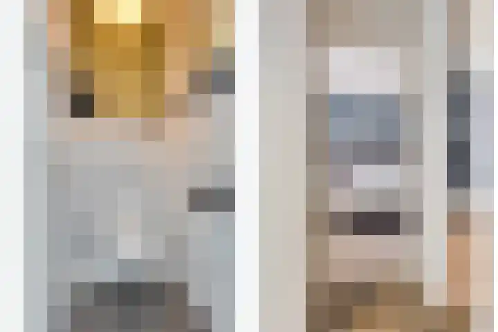 Fallaetswei 1 a Drachtstercompagnie thumbnail 11