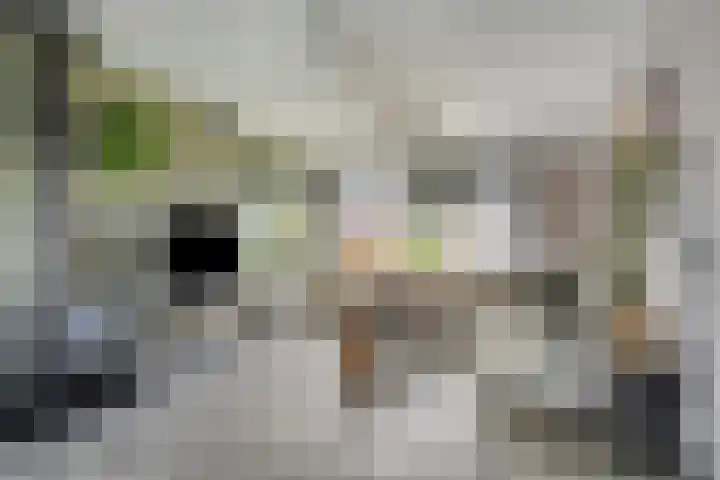 Fallaetswei 1 a Drachtstercompagnie thumbnail 12