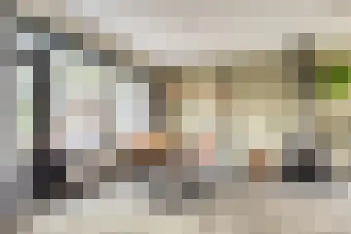 Fallaetswei 1 a Drachtstercompagnie thumbnail 14