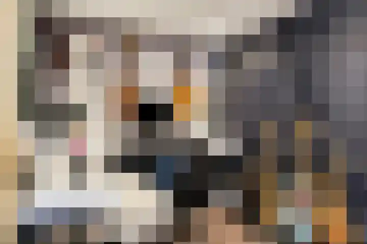 Fallaetswei 1 a Drachtstercompagnie thumbnail 22
