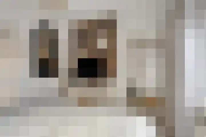 Fallaetswei 1 a Drachtstercompagnie thumbnail 24