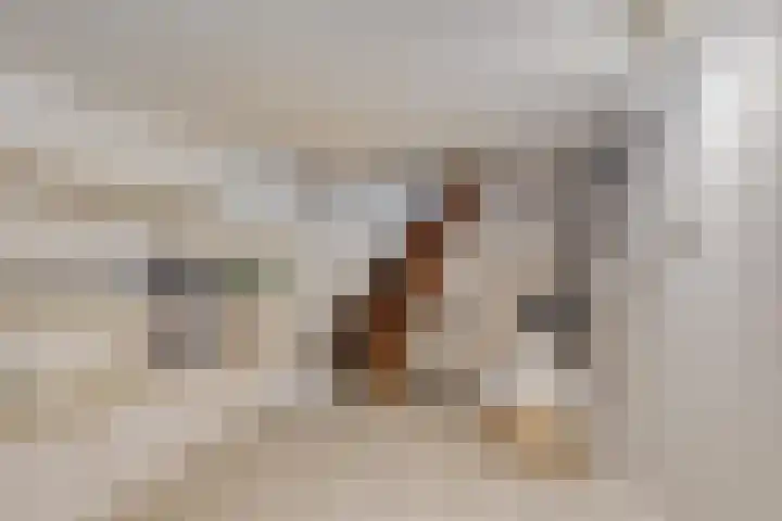 Fallaetswei 1 a Drachtstercompagnie thumbnail 25