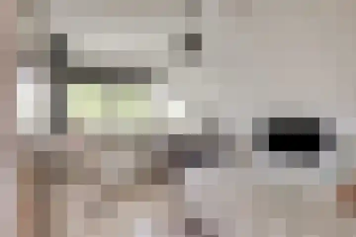 Fallaetswei 1 a Drachtstercompagnie thumbnail 27