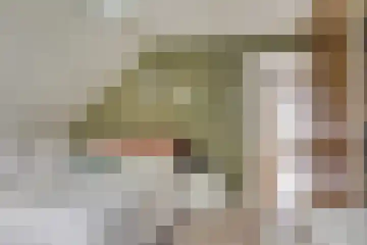 Fallaetswei 1 a Drachtstercompagnie thumbnail 28