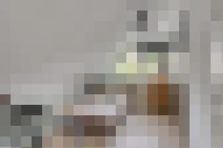 Fallaetswei 1 a Drachtstercompagnie thumbnail 32