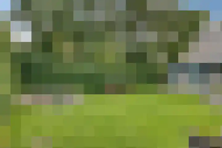 Fallaetswei 1 a Drachtstercompagnie thumbnail 40