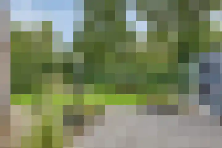 Fallaetswei 1 a Drachtstercompagnie thumbnail 43