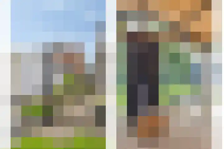 Fallaetswei 1 a Drachtstercompagnie thumbnail 44