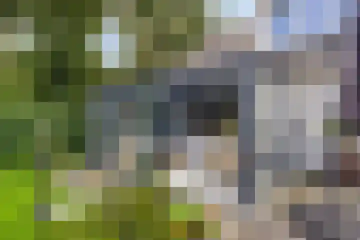 Fallaetswei 1 a Drachtstercompagnie thumbnail 47