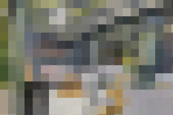 Fallaetswei 1 a Drachtstercompagnie thumbnail 48