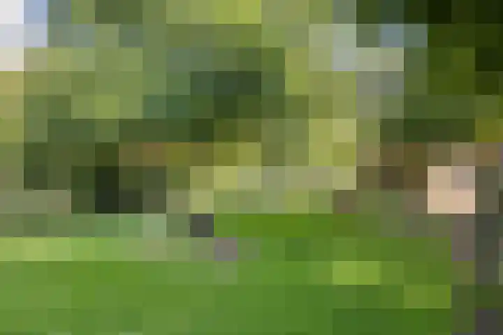 Fallaetswei 1 a Drachtstercompagnie thumbnail 49