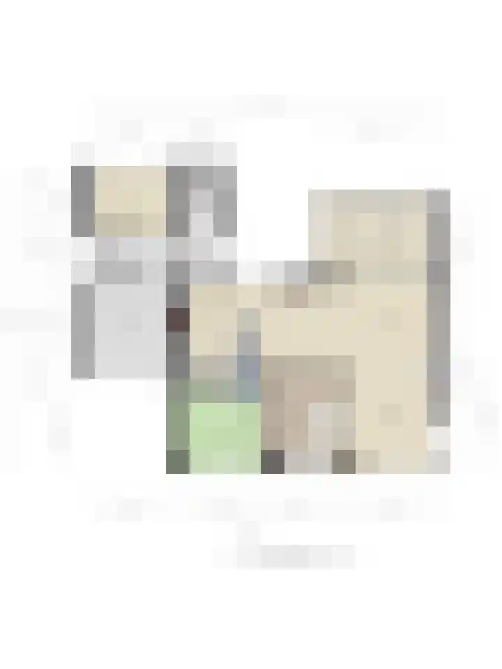 Fallaetswei 1 a Drachtstercompagnie thumbnail 52