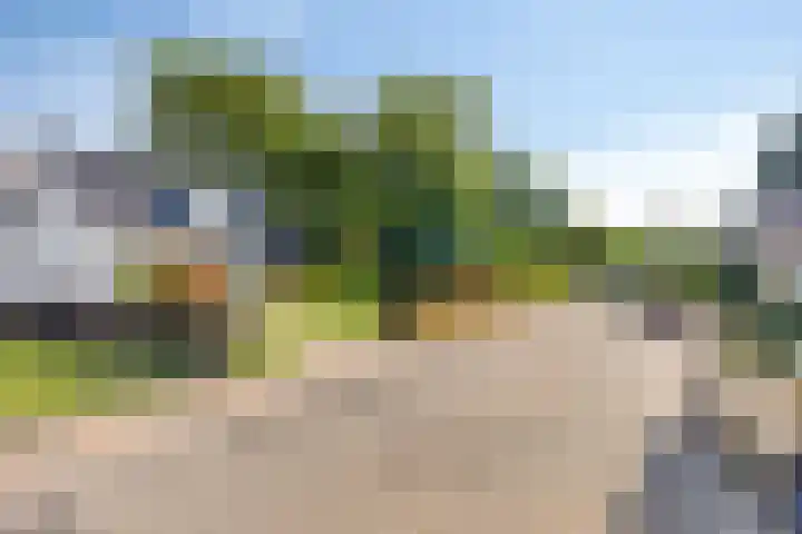 Fallaetswei 1 a Drachtstercompagnie thumbnail 6