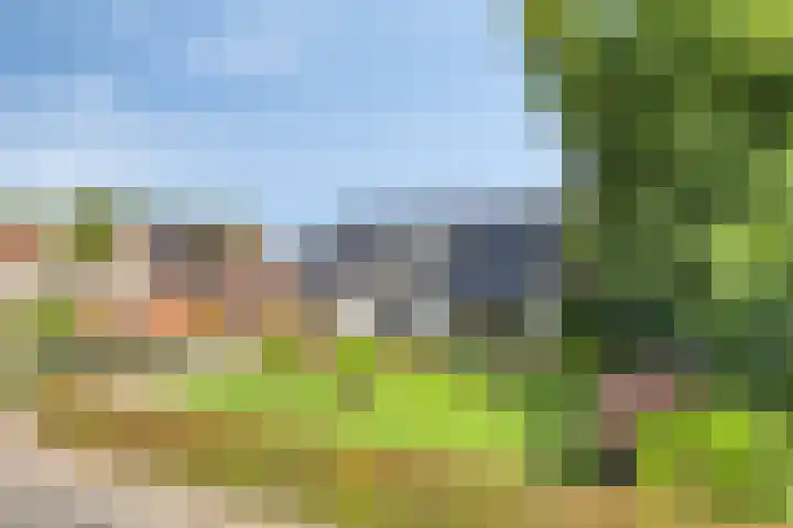 Fallaetswei 1 a Drachtstercompagnie thumbnail 8
