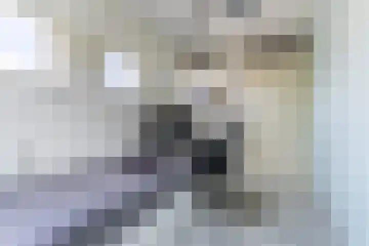 Falstaff 14 Eindhoven thumbnail 23