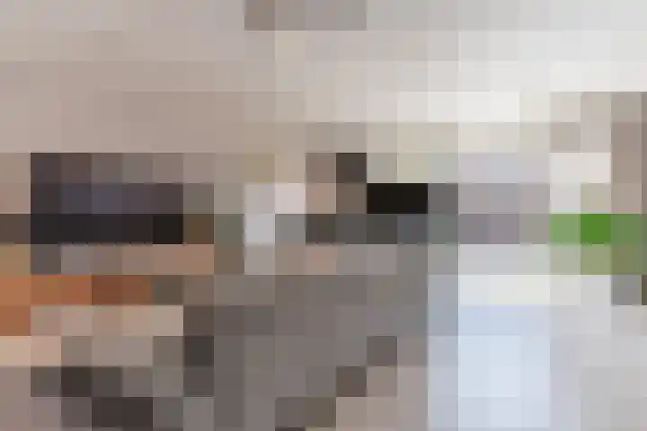 Falstaff 14 Eindhoven thumbnail 8