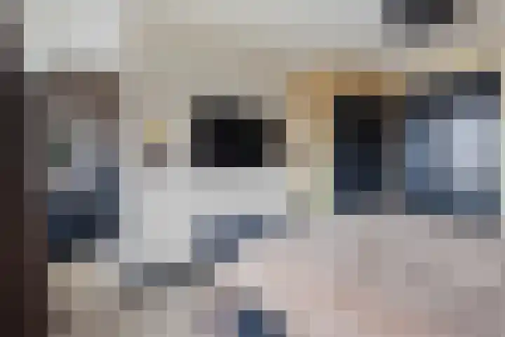 Falstaffstraat 22 Alkmaar thumbnail 17