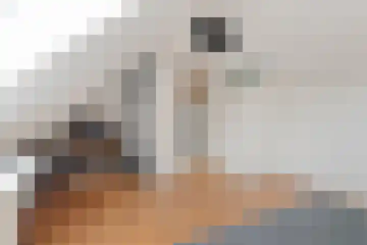 Falstaffstraat 22 Alkmaar thumbnail 27