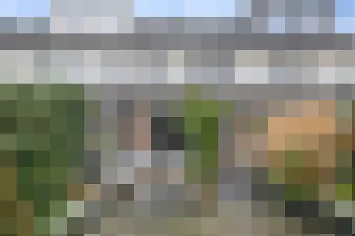 Falstaffstraat 22 Alkmaar thumbnail 30