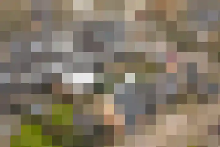 Falstaffstraat 22 Alkmaar thumbnail 39