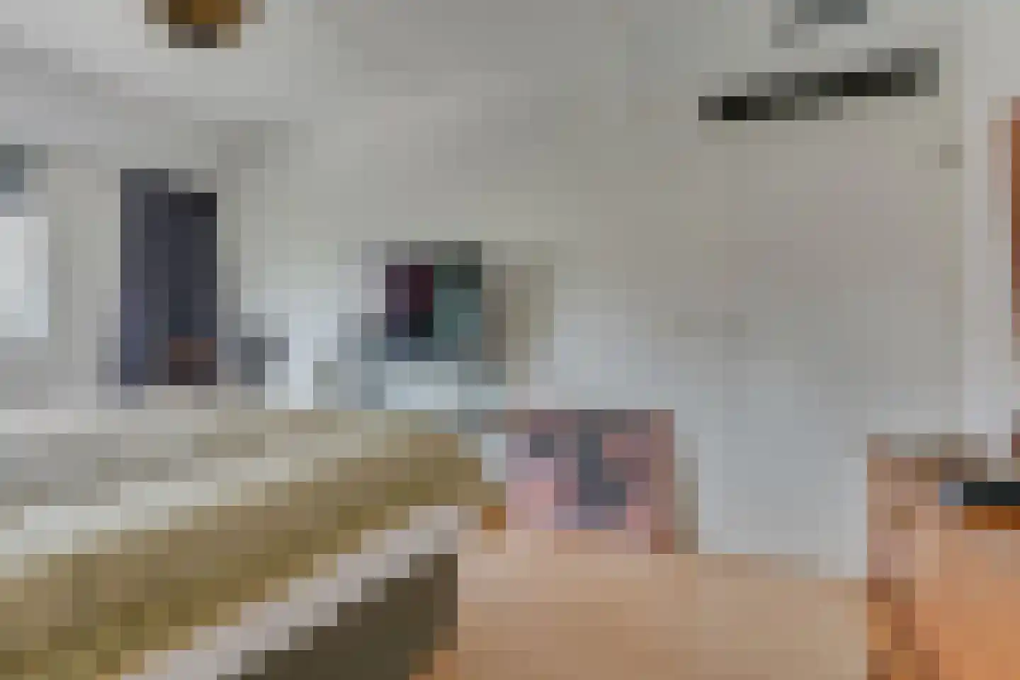 Falstaffstraat 7 Alkmaar thumbnail 31