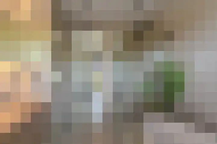 Falster 1 Blauwestad thumbnail 12