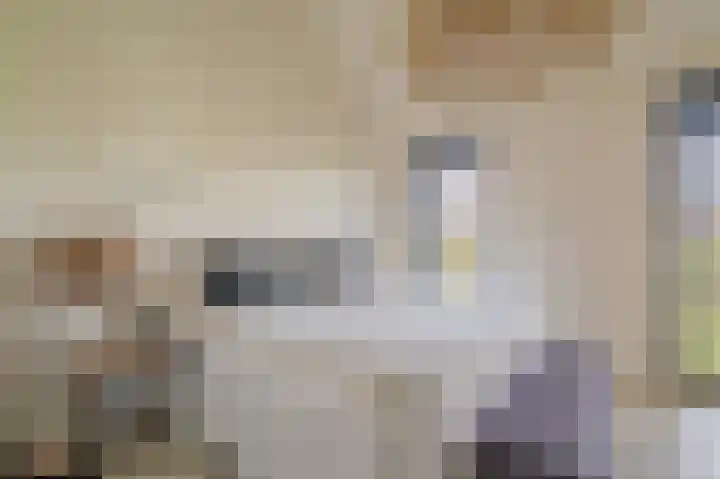 Falster 1 Blauwestad thumbnail 15