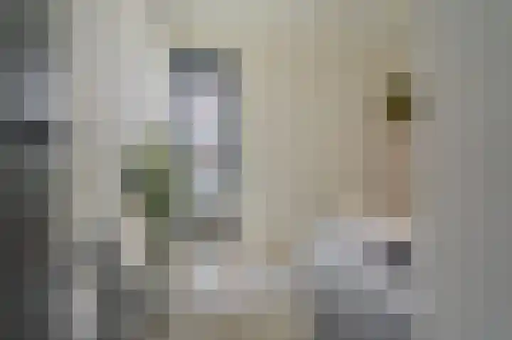 Falster 1 Blauwestad thumbnail 21