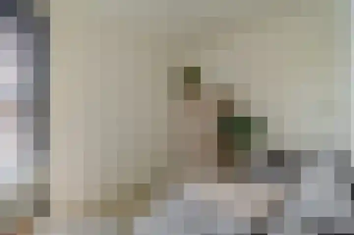 Falster 1 Blauwestad thumbnail 22