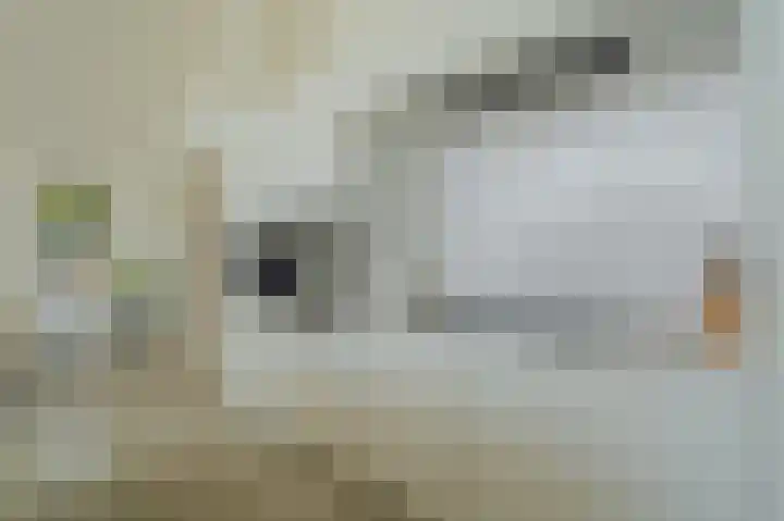 Falster 1 Blauwestad thumbnail 30