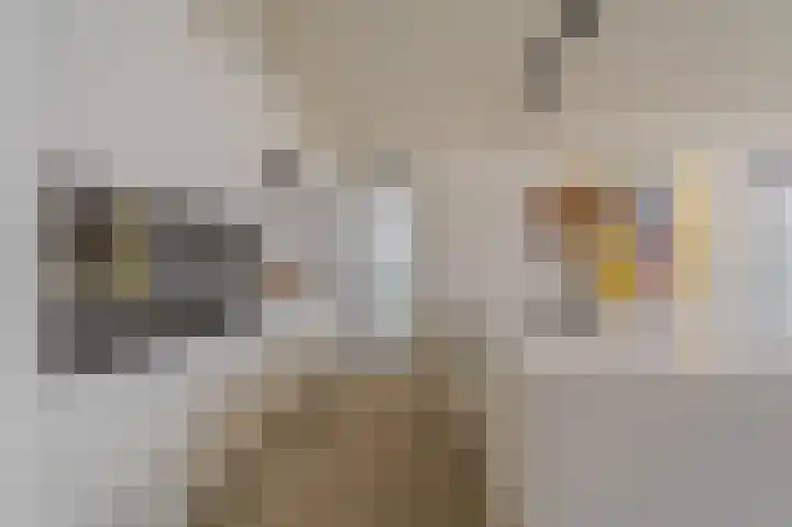 Falster 1 Blauwestad thumbnail 31