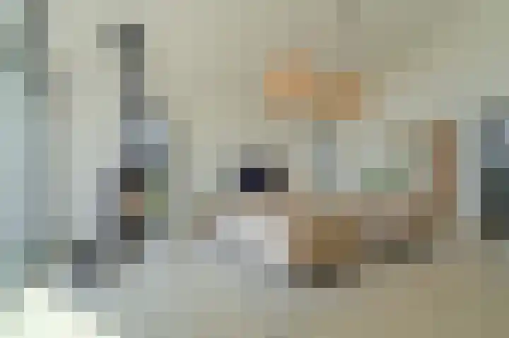 Falster 1 Blauwestad thumbnail 36