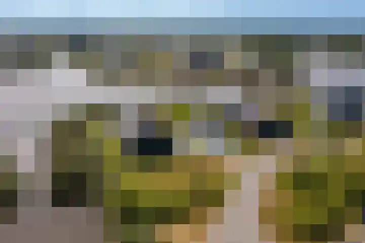 Falster 1 Blauwestad thumbnail 54
