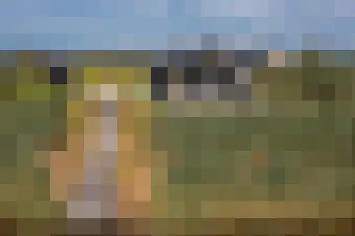 Falster 1 Blauwestad thumbnail 58