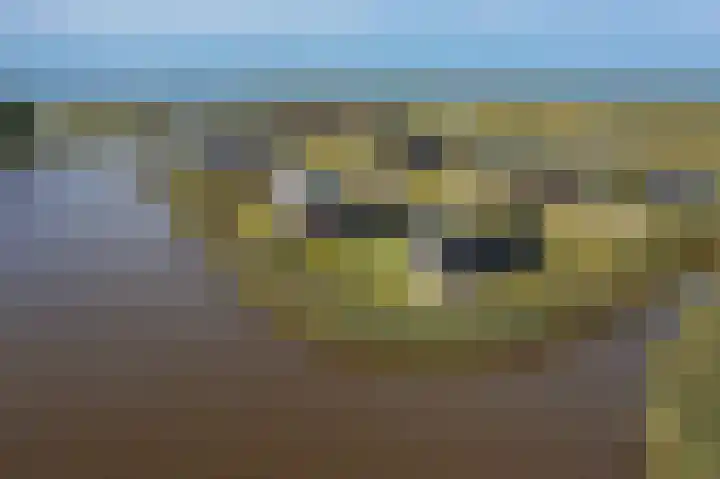 Falster 1 Blauwestad thumbnail 64