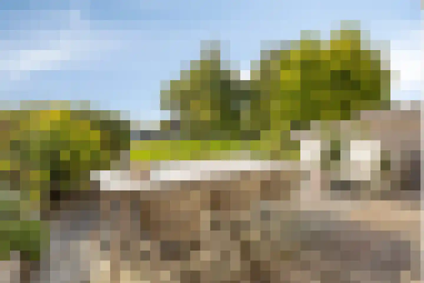 Falster 108 Zaandam thumbnail 20