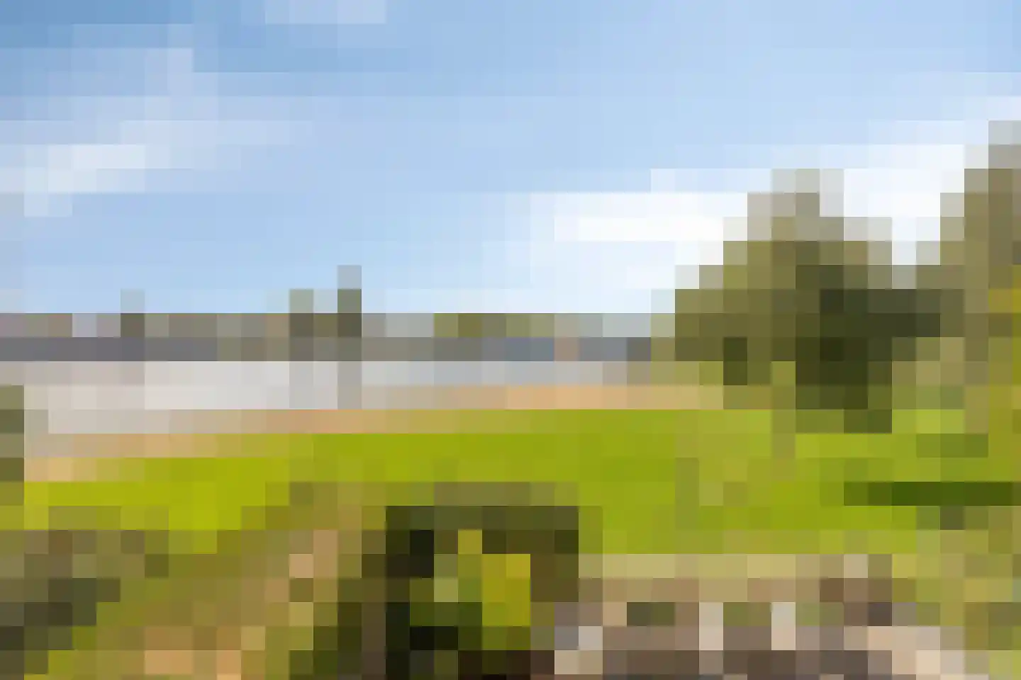 Falster 108 Zaandam thumbnail 24