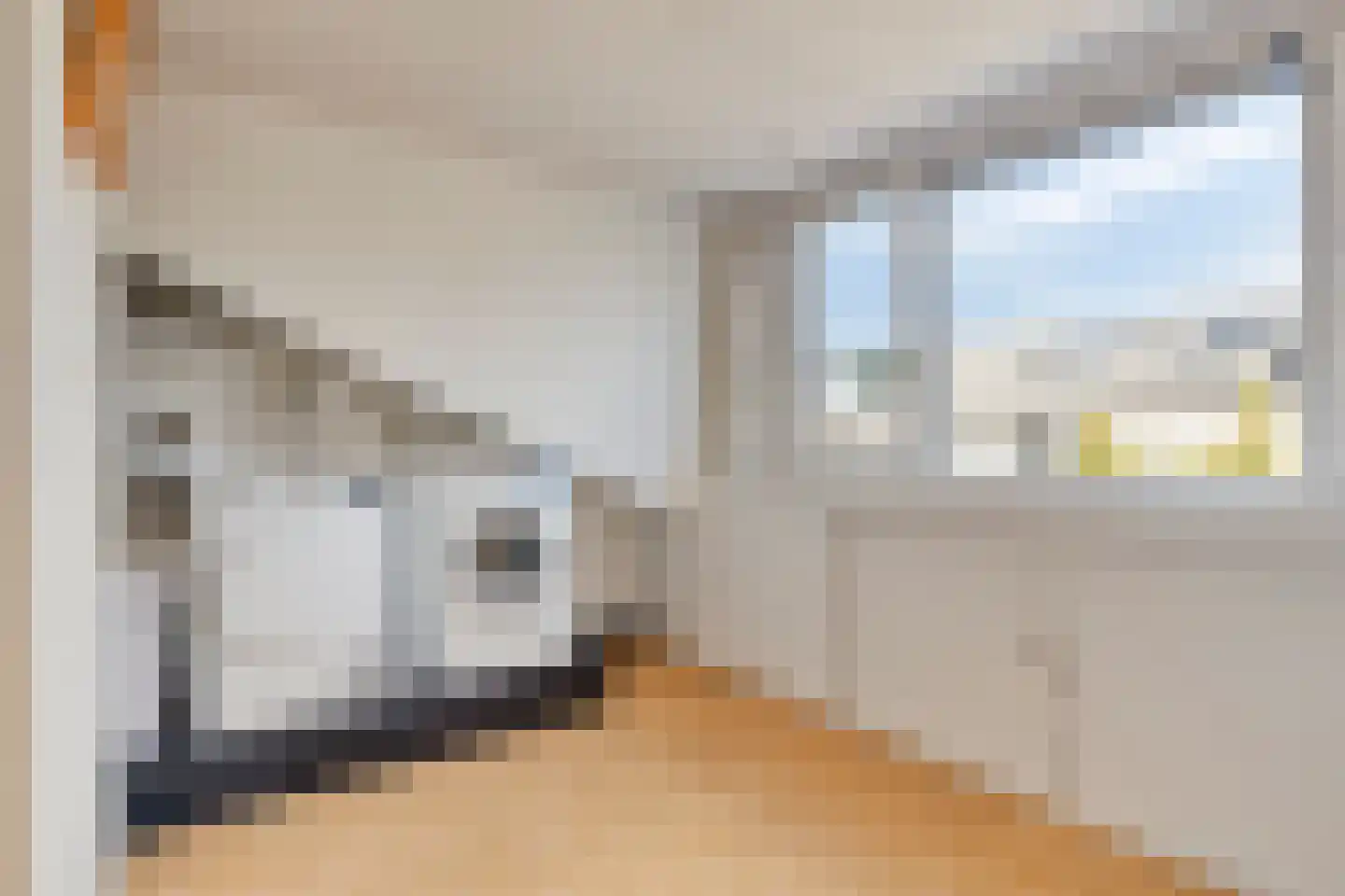 Falster 108 Zaandam thumbnail 46