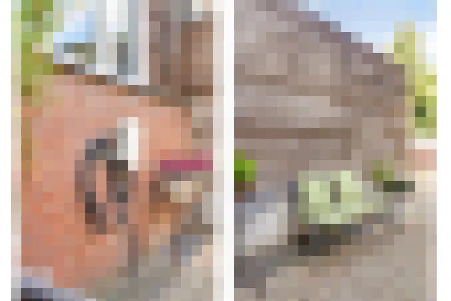Falster 108 Zaandam thumbnail 51