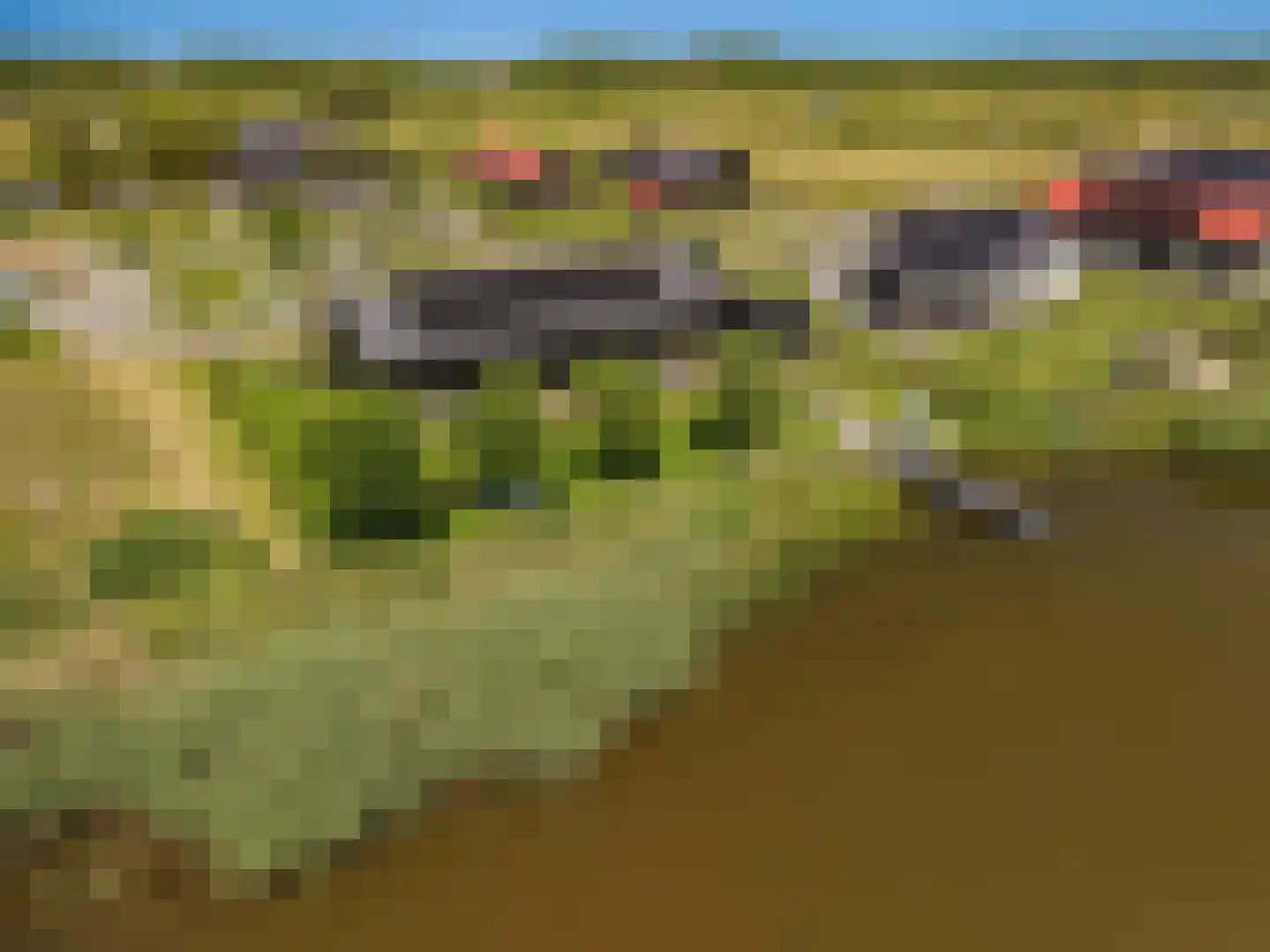 Falster 60 Blauwestad thumbnail 46