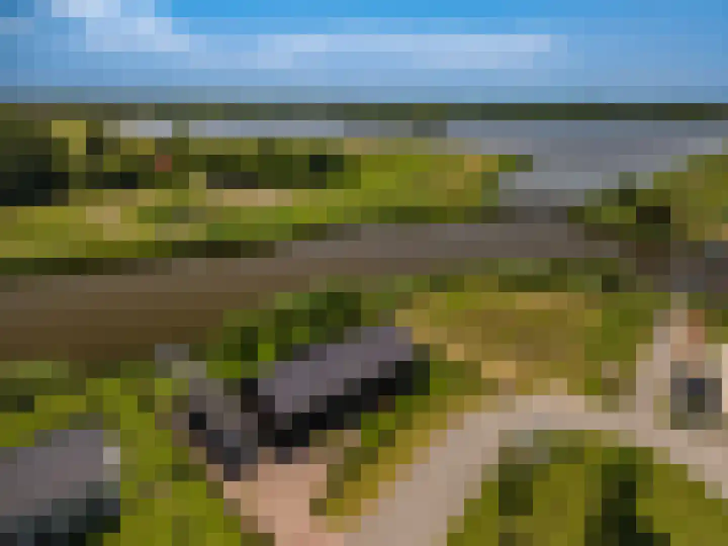 Falster 60 Blauwestad thumbnail 47