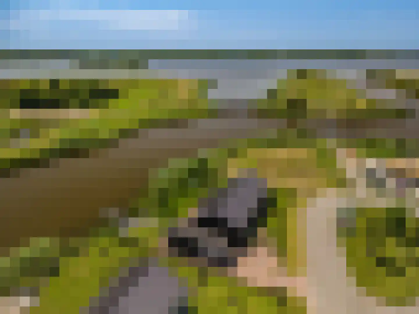 Falster 60 Blauwestad thumbnail 48