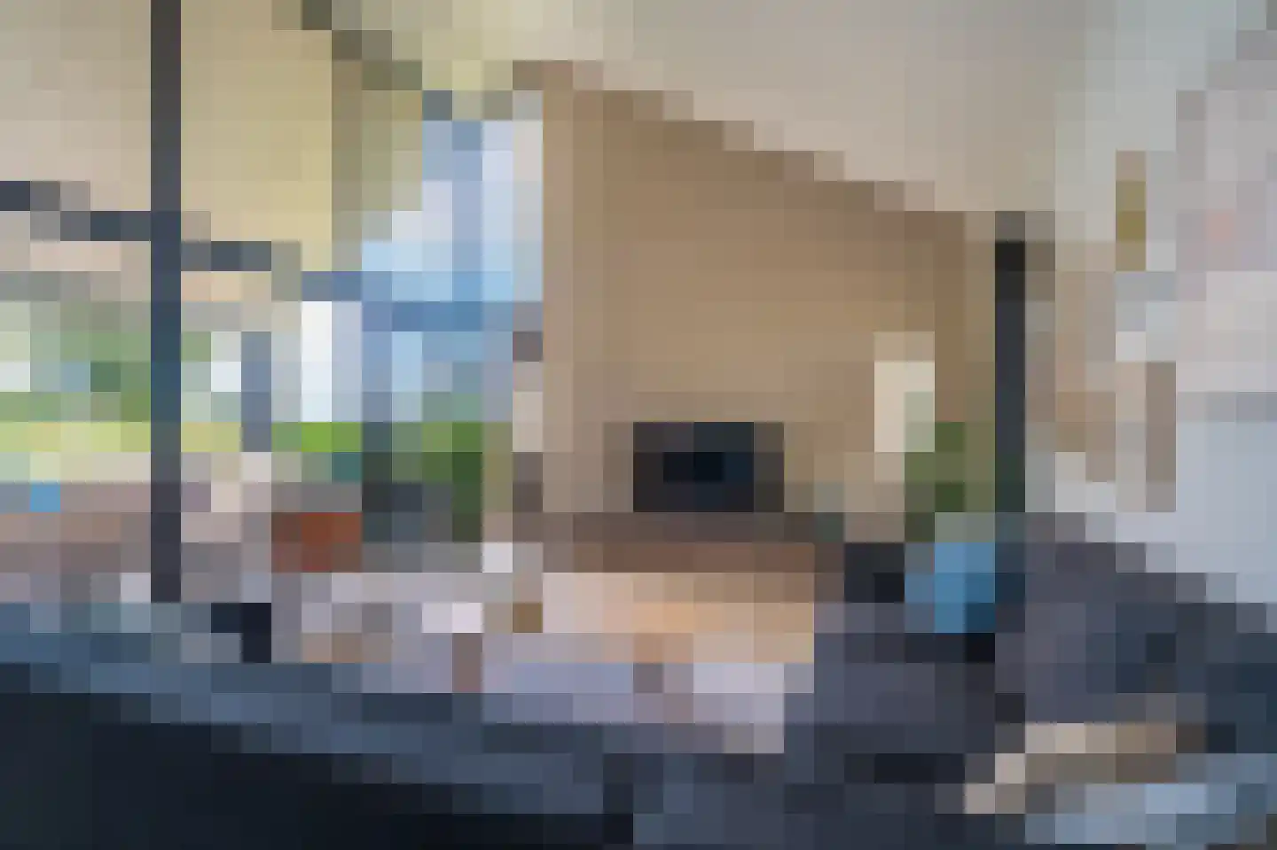 Falster 60 Blauwestad thumbnail 9
