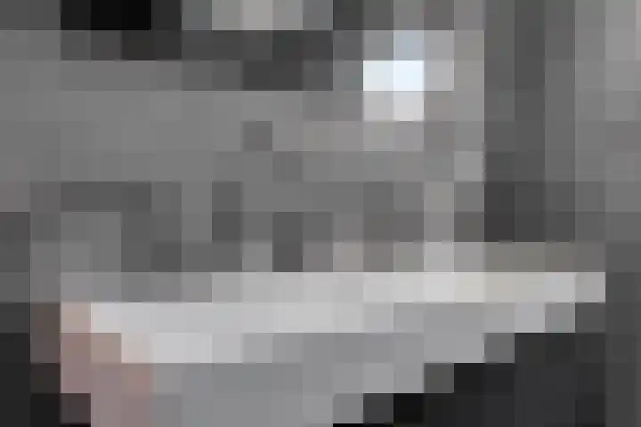Falster 68 Zaandam thumbnail 19