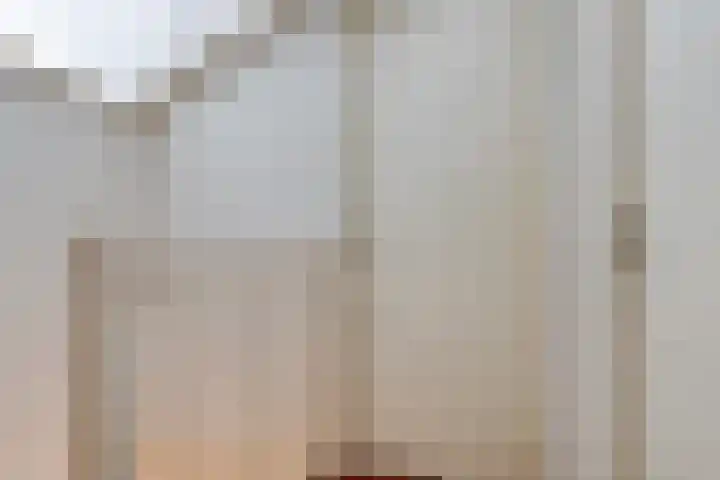 Falster 68 Zaandam thumbnail 23