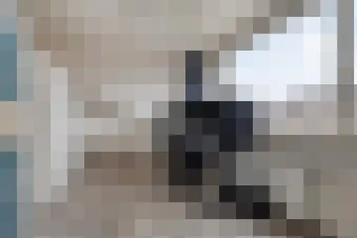 Falster 68 Zaandam thumbnail 26